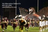 Click for Other Views Eagle Falcon Hawk